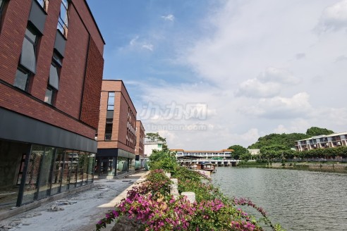海珠临江独栋时代方洲出租 环境优美可明火 270度江景